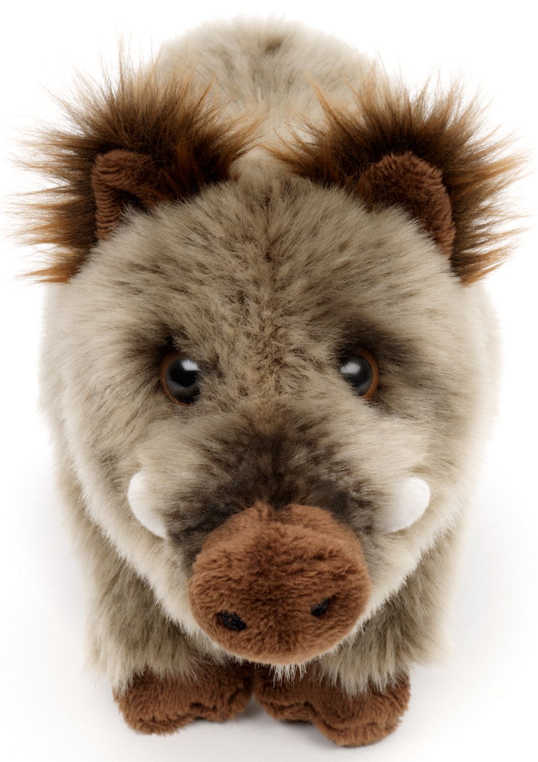 Wildschwein, stehend - 25 cm