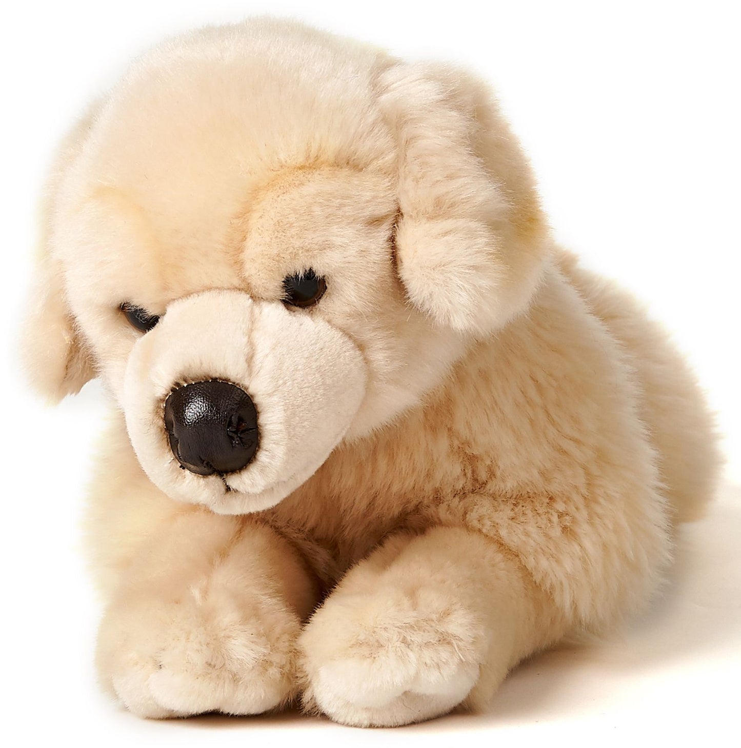 Golden Retriever, liegend - 39 cm