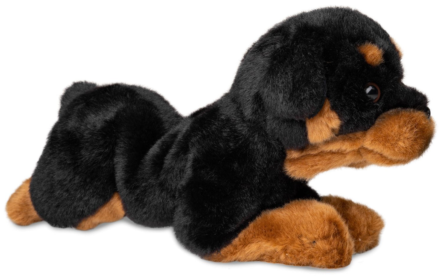 Rottweiler - 30 cm