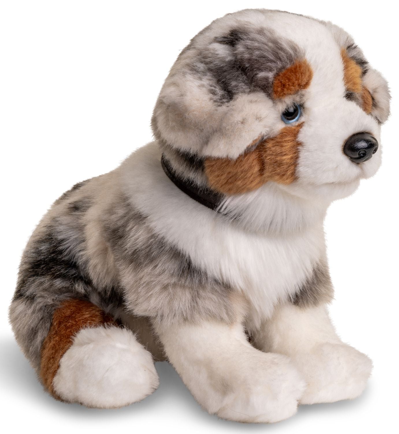 Australian Shepherd - Australischer Schäferhund Welpe 22 cm mit Leine