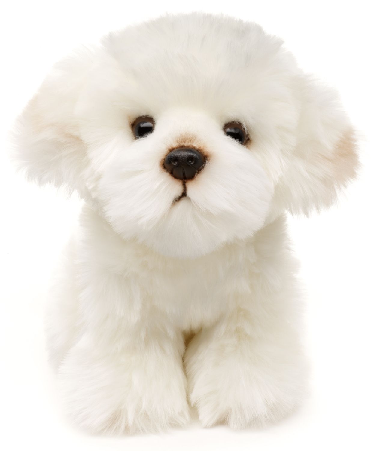 Malteser Hund - 18 cm