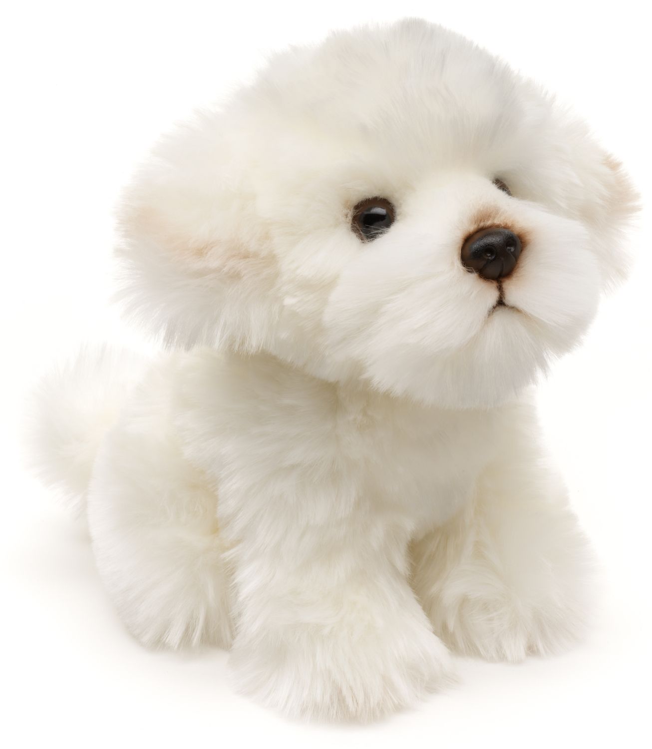 Malteser Hund - 18 cm