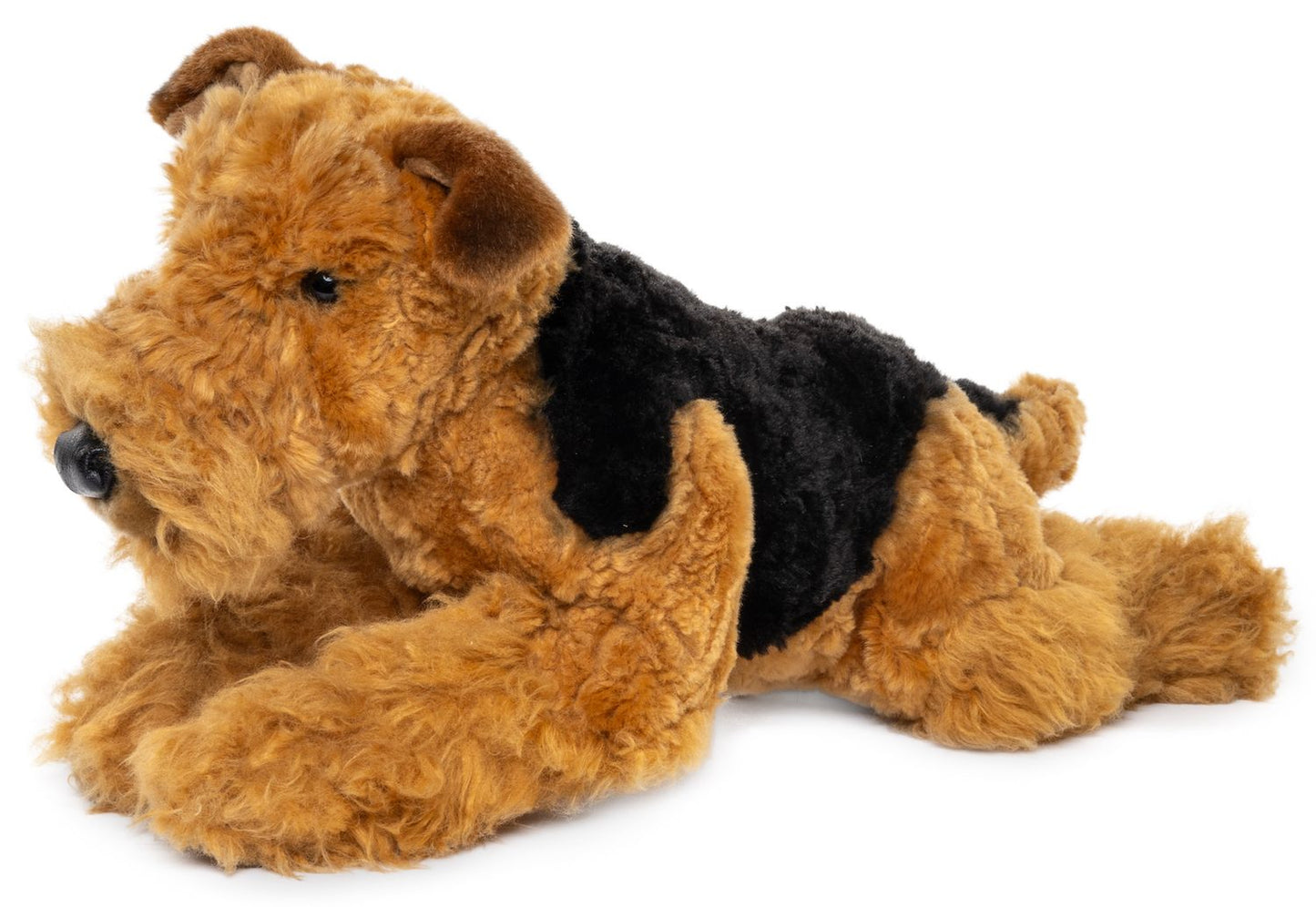 Airedale Terrier, liegend - 43 cm