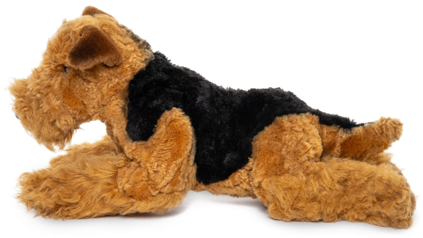 Airedale Terrier, liegend - 43 cm