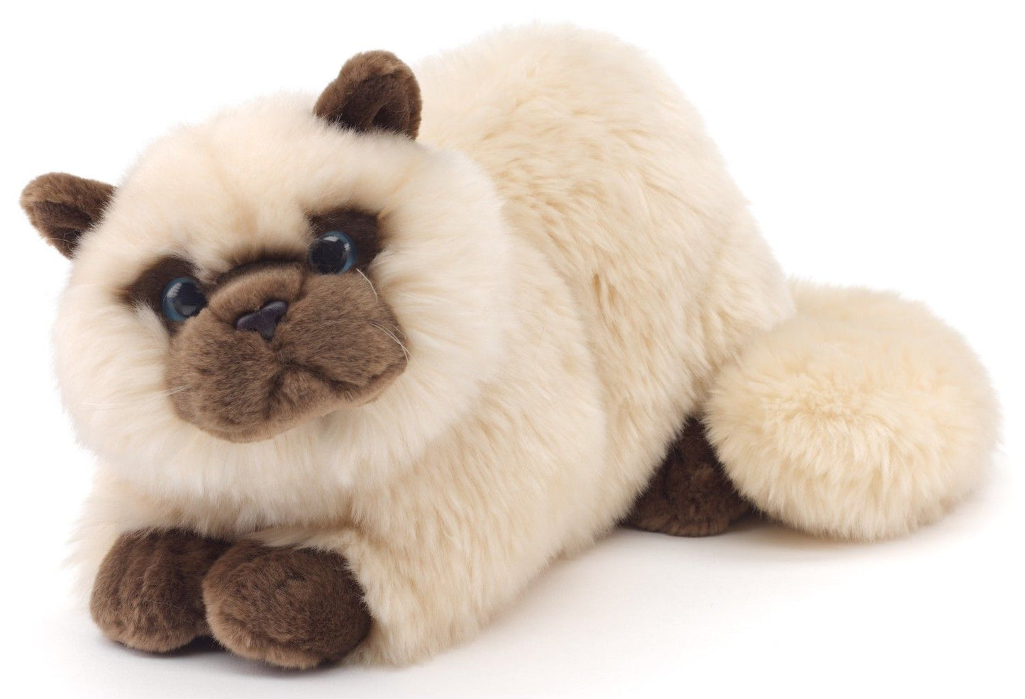 Perserkatze beige, liegend - 31 cm