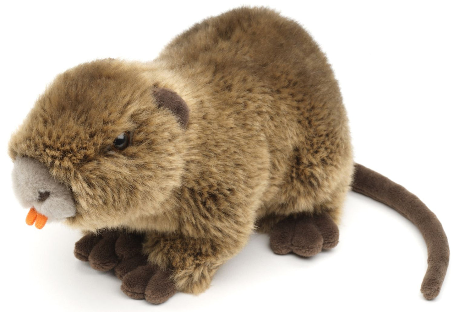 Nutria - 21 cm
