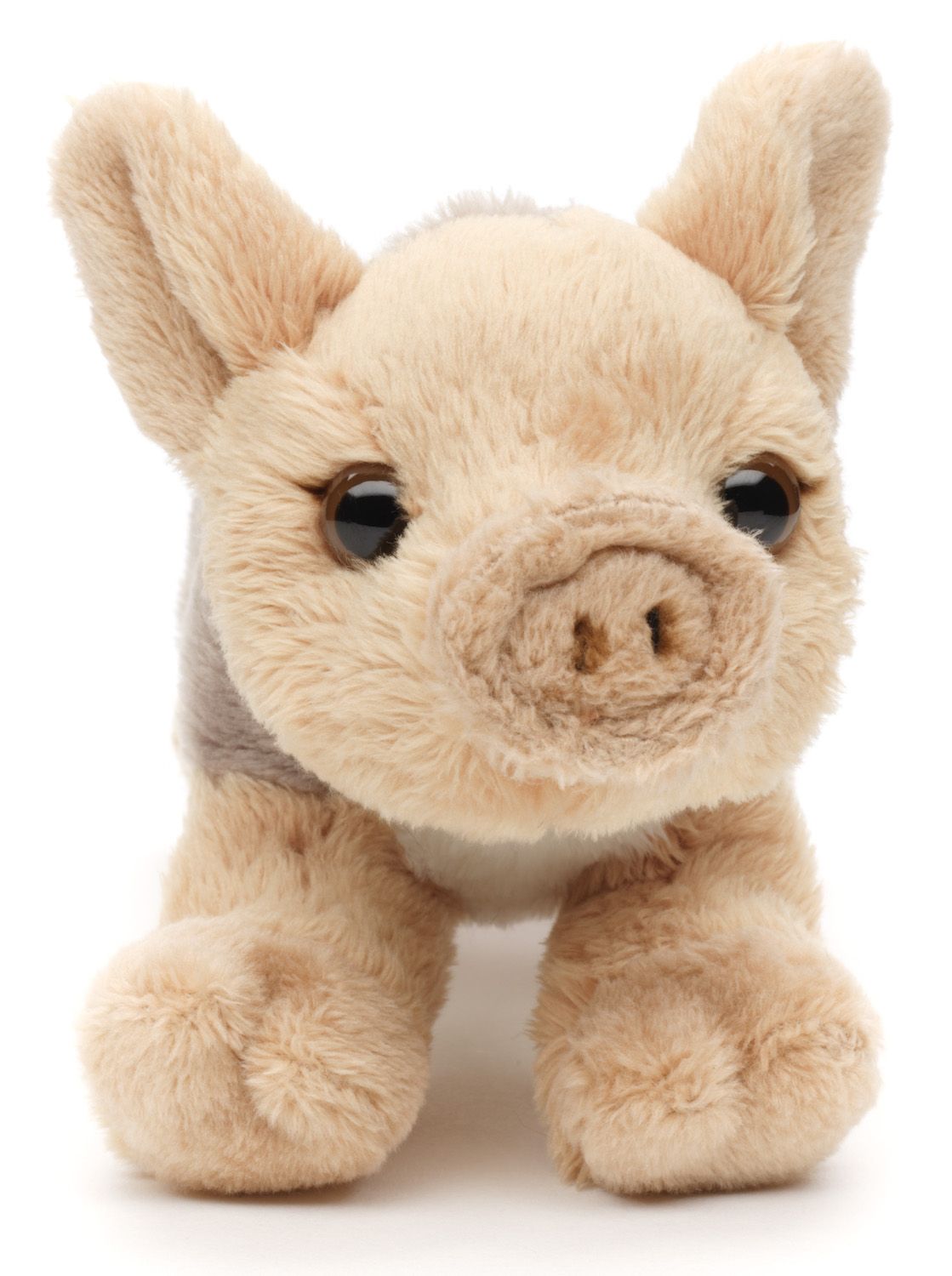 Frischling Plushie - 15 cm
