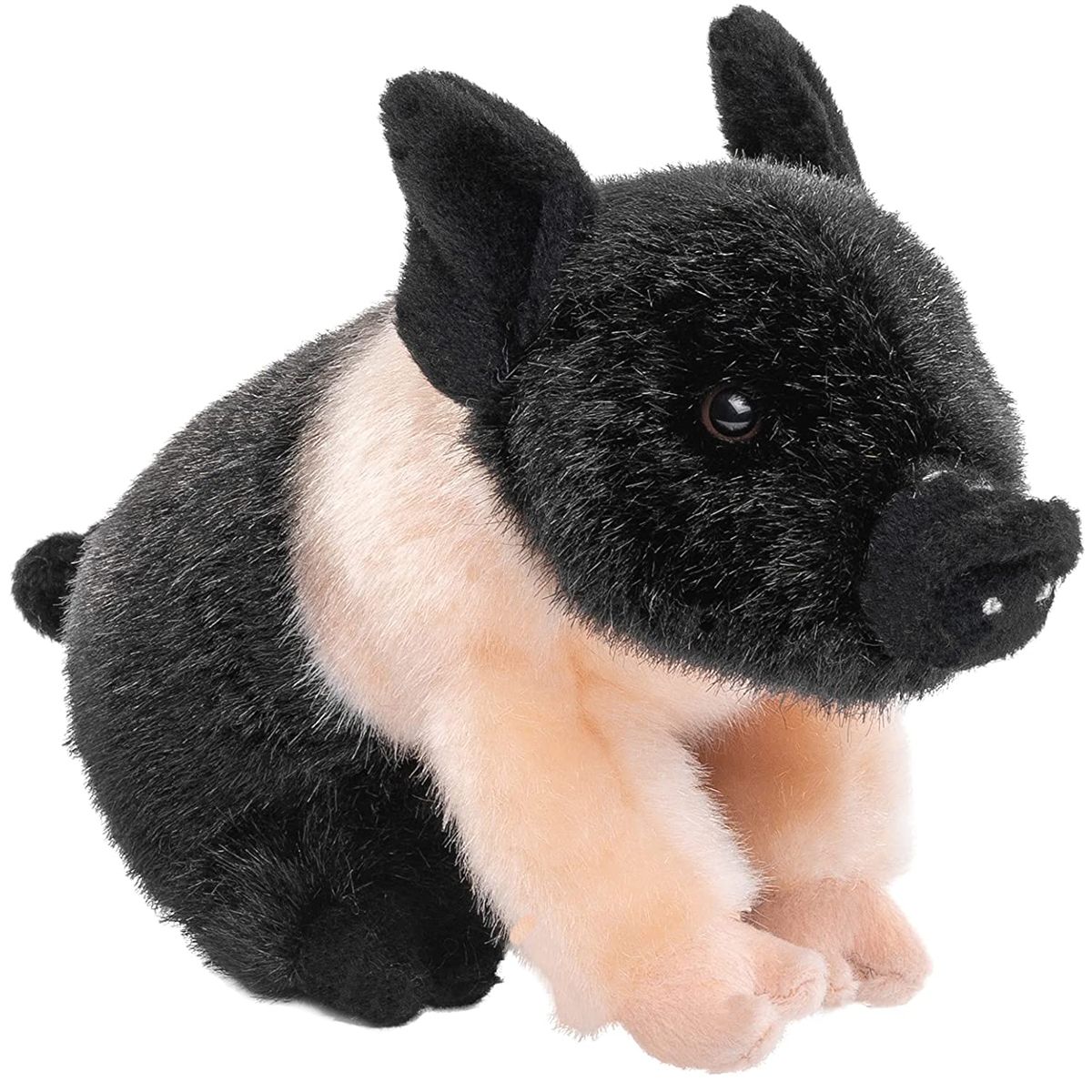 Angler Sattelschwein Ferkel - 20 cm - Schwein
