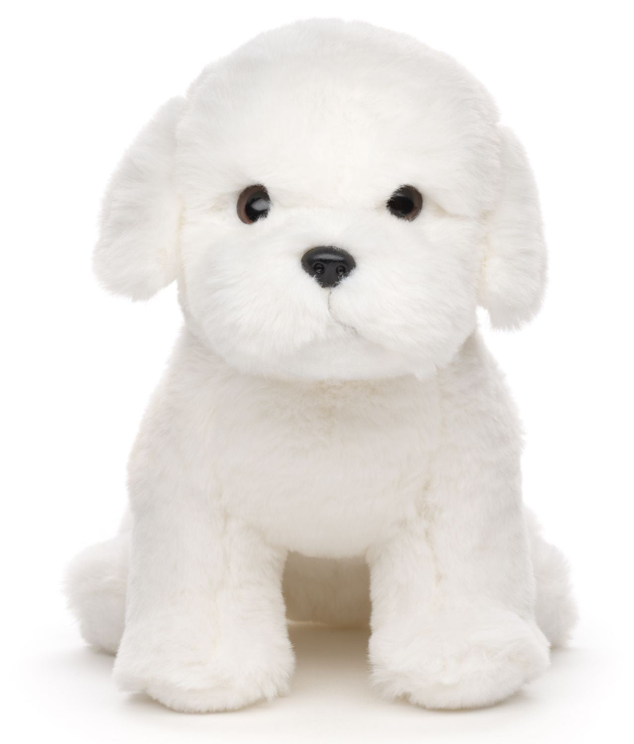 Malteser - 22 cm (Höhe)