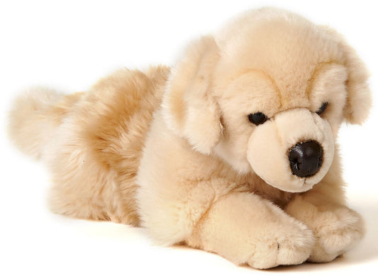 Golden Retriever, liegend - 31 cm