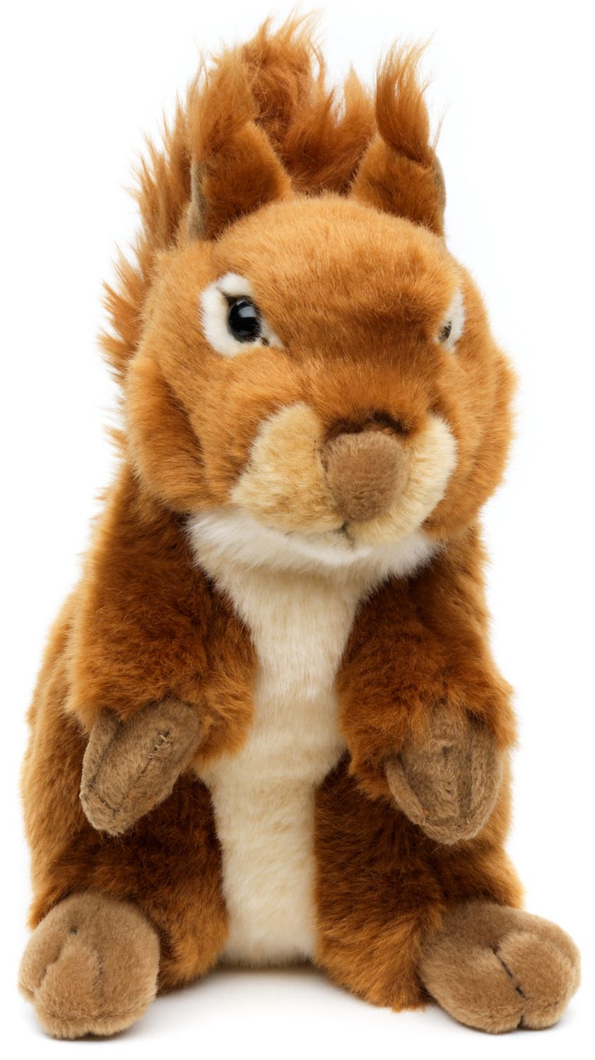 Eichhörnchen - 22 cm