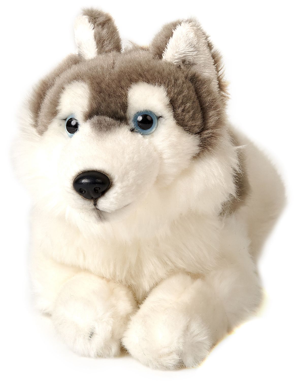 Husky grau, liegend - 31 cm