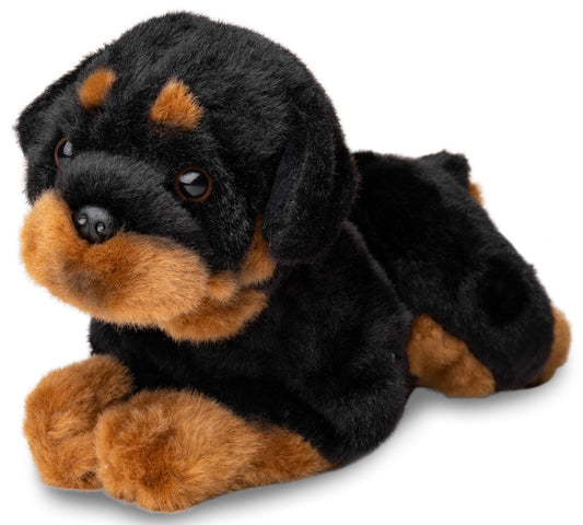 Rottweiler - 30 cm