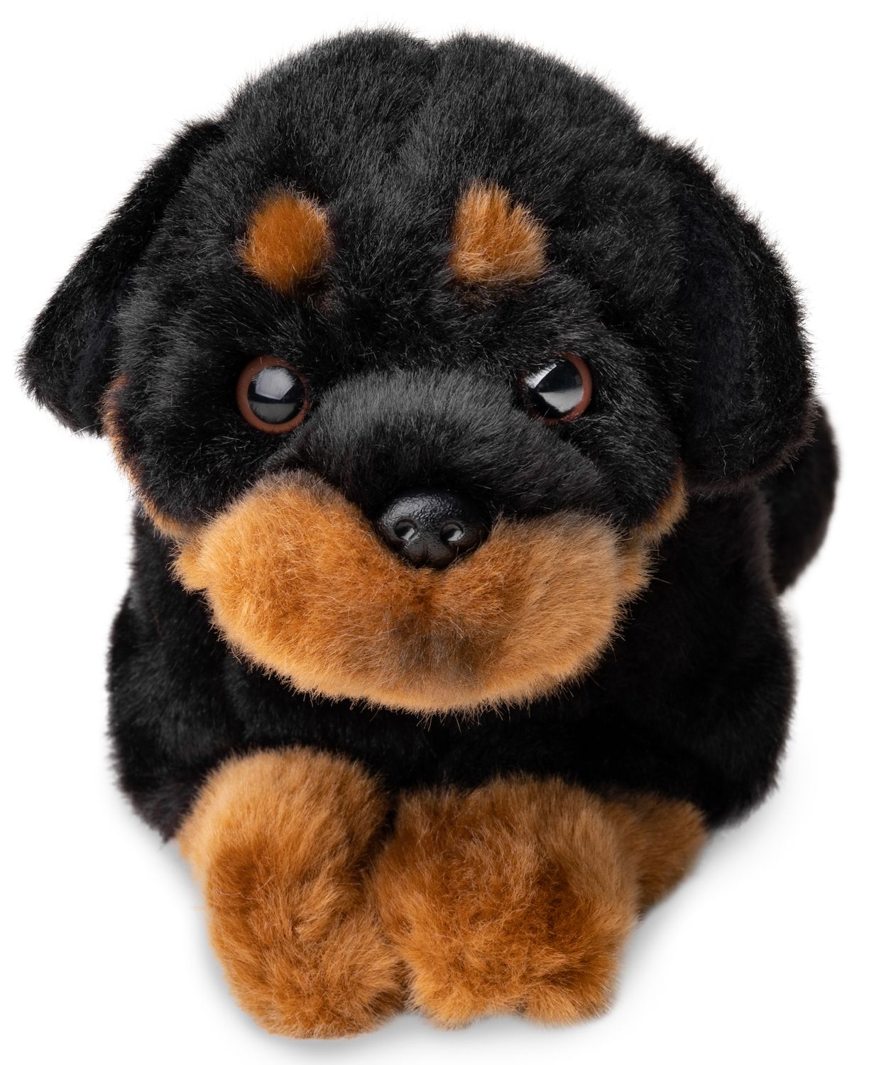 Rottweiler - 30 cm