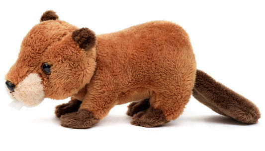 Biber Plushie - 20 cm