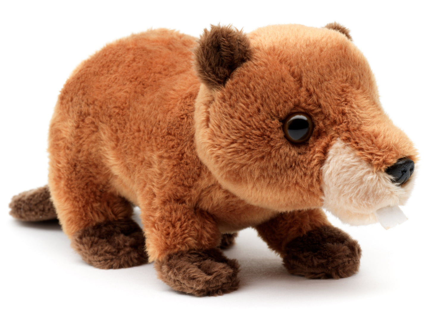 Biber Plushie - 20 cm