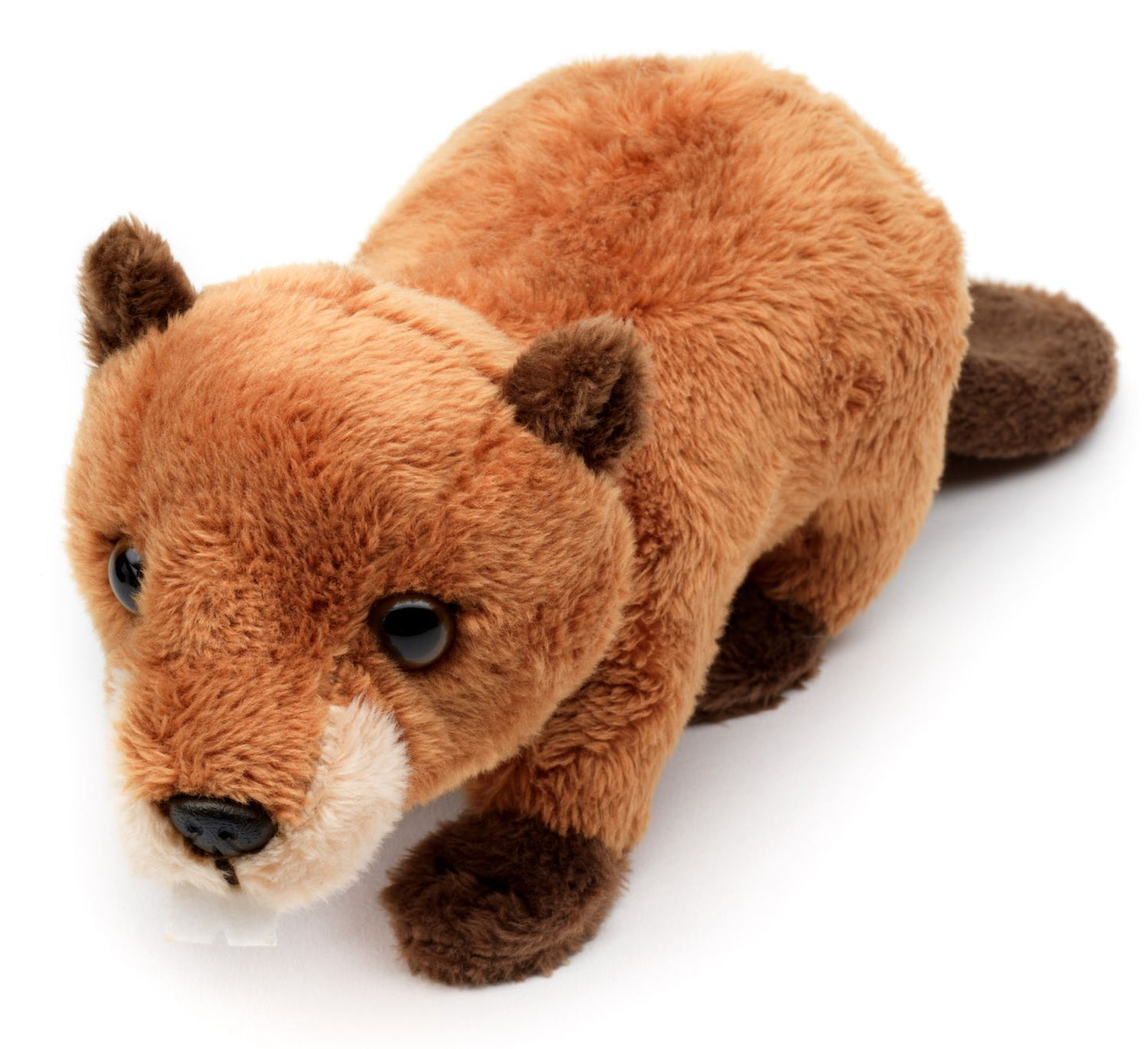 Biber Plushie - 20 cm