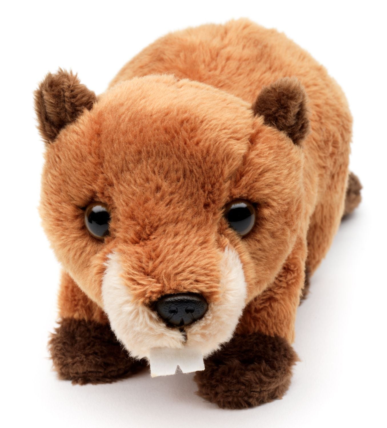 Biber Plushie - 20 cm