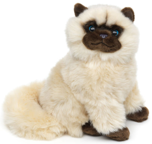 Perserkatze beige, sitzend - 25 cm