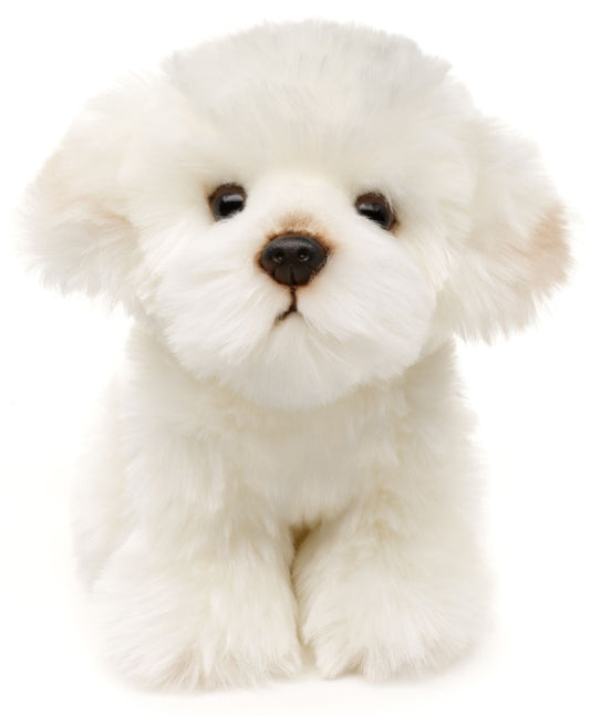 Malteser Hund - 18 cm