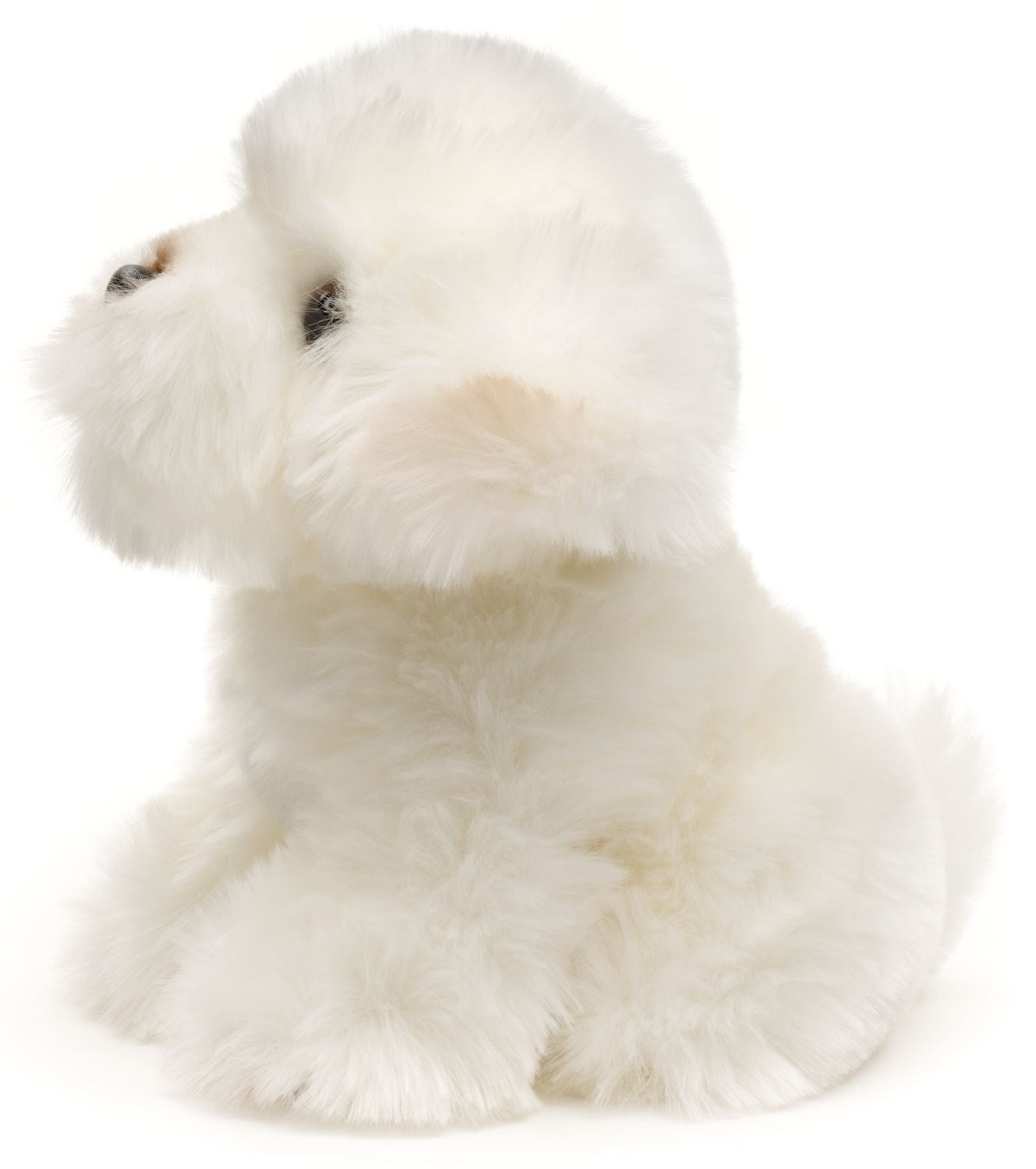 Malteser Hund - 18 cm