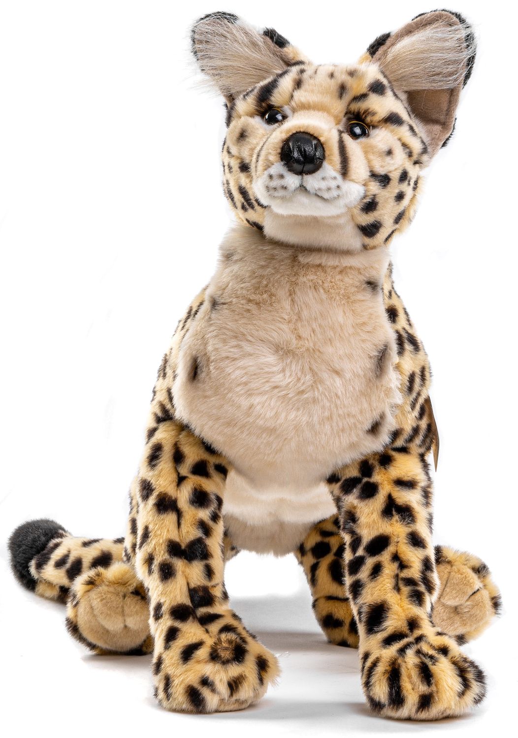 Savannah-Katze, liegend - 60 cm
