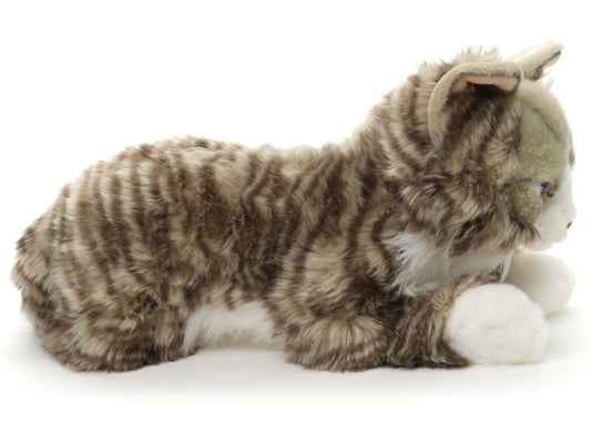 Norwegische Waldkatze - 46 cm