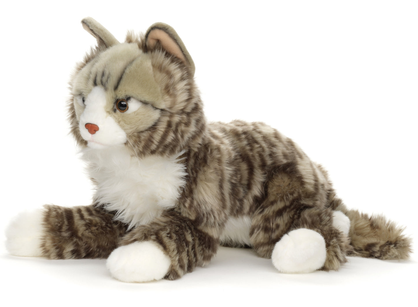 Norwegische Waldkatze - 46 cm