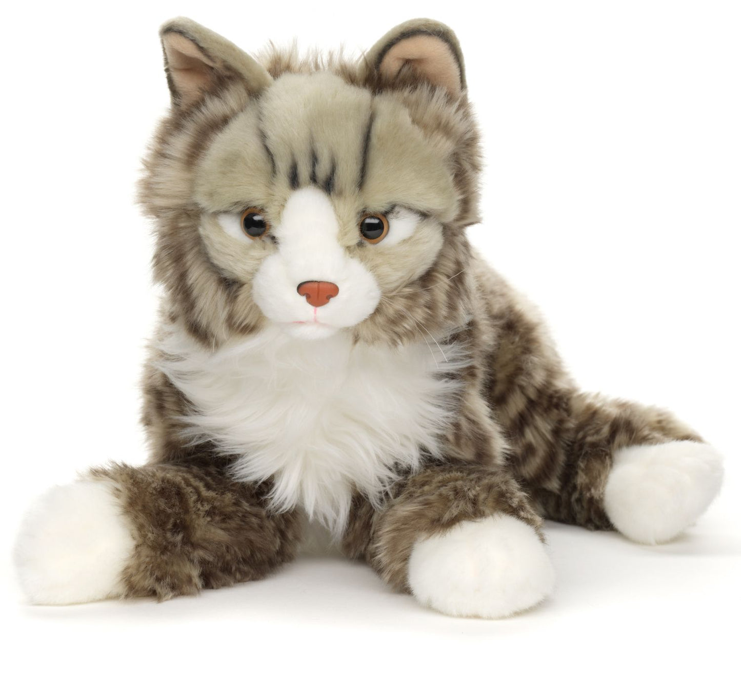 Norwegische Waldkatze - 46 cm