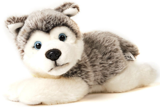 Husky grau, liegend - 38 cm - Unitoys - Kuscheltier - Hund - Haustier-  recyceltes Plüsch - GPRS