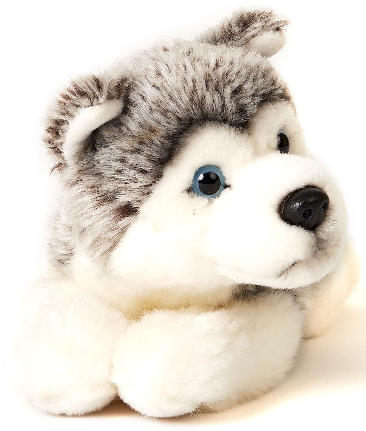 Husky grau, liegend - 38 cm - Unitoys - Kuscheltier - Hund - Haustier-  recyceltes Plüsch - GPRS