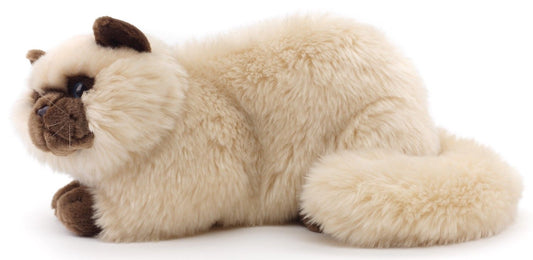 Perserkatze beige, liegend - 31 cm