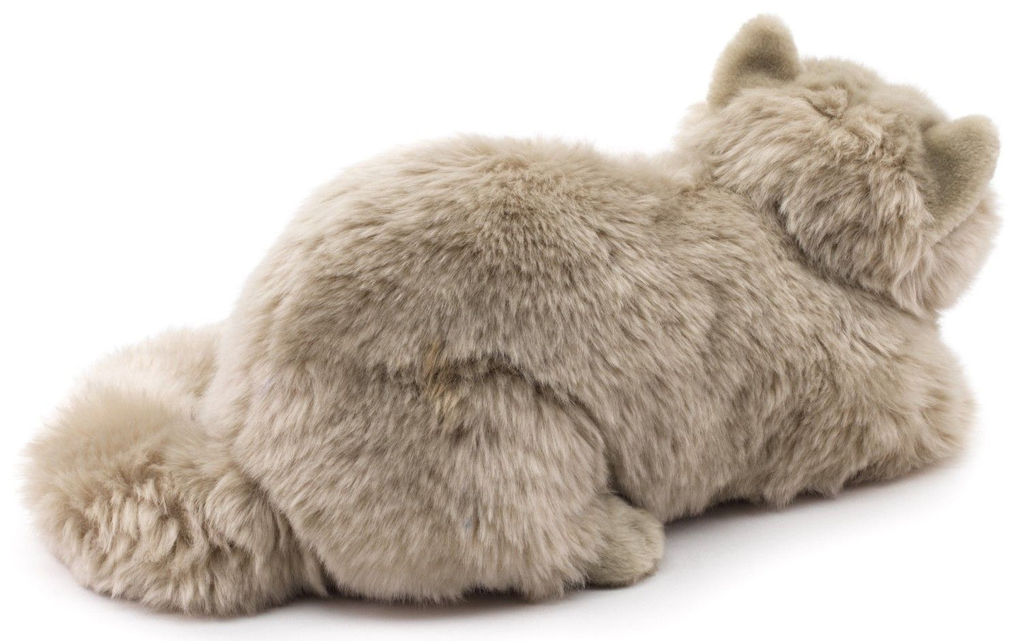 Perserkatze grau, liegend - 31 cm