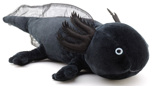 Axolotl (schwarz) - 32 cm - Unitoys - Kuscheltier - Plüsch - GPSR geprüft