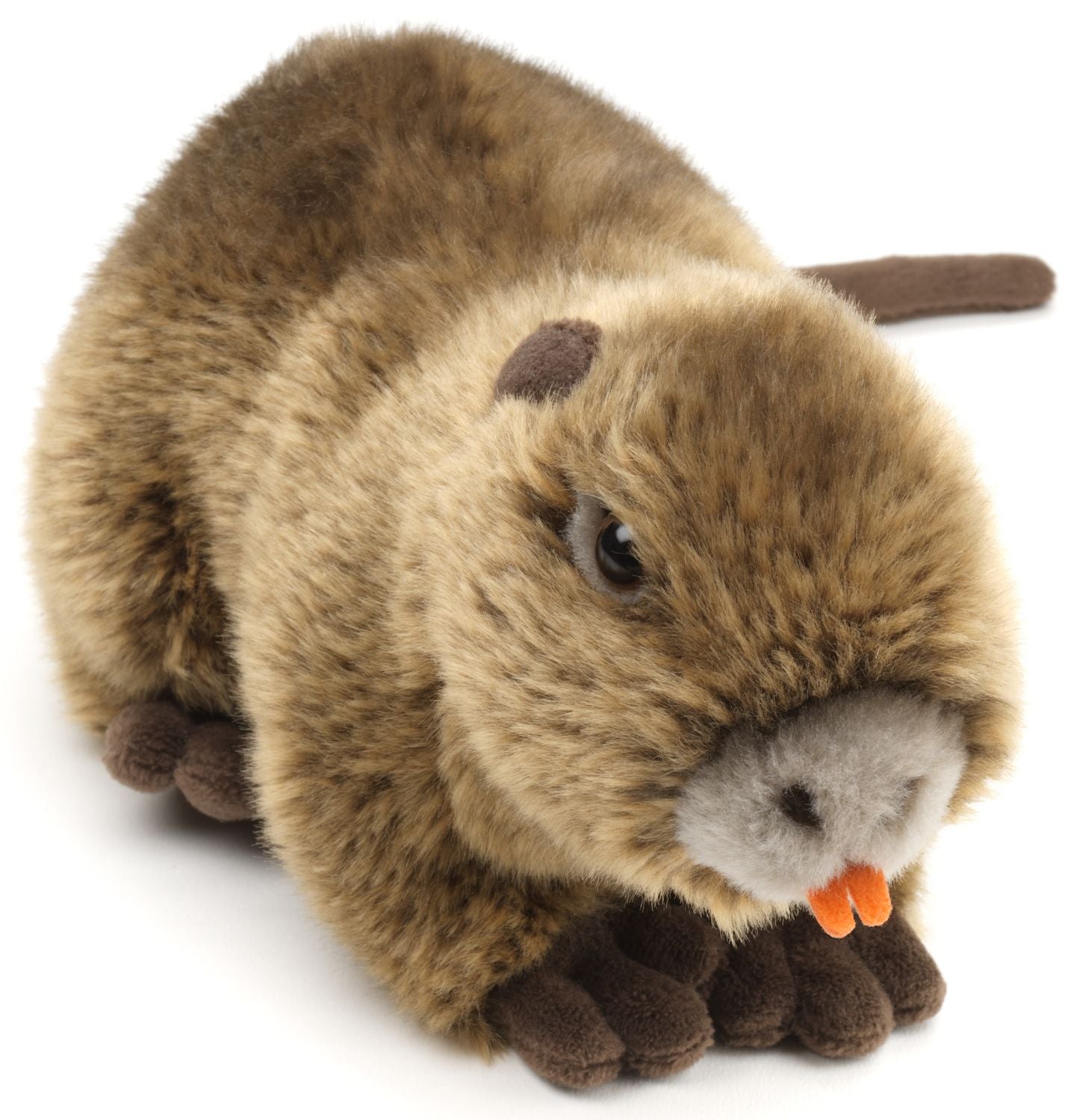 Nutria - 21 cm