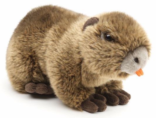 Nutria - 21 cm