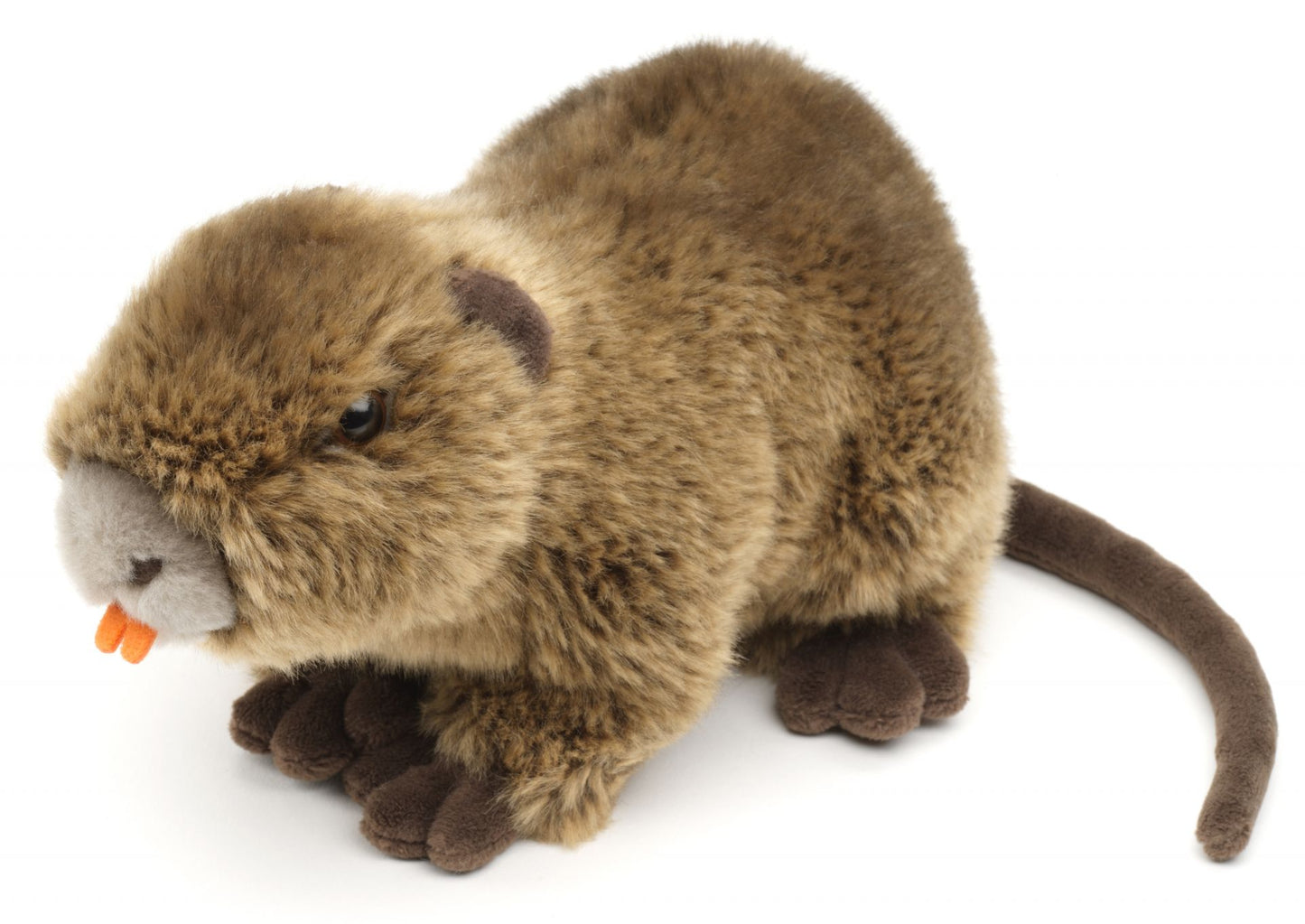 Nutria - 21 cm