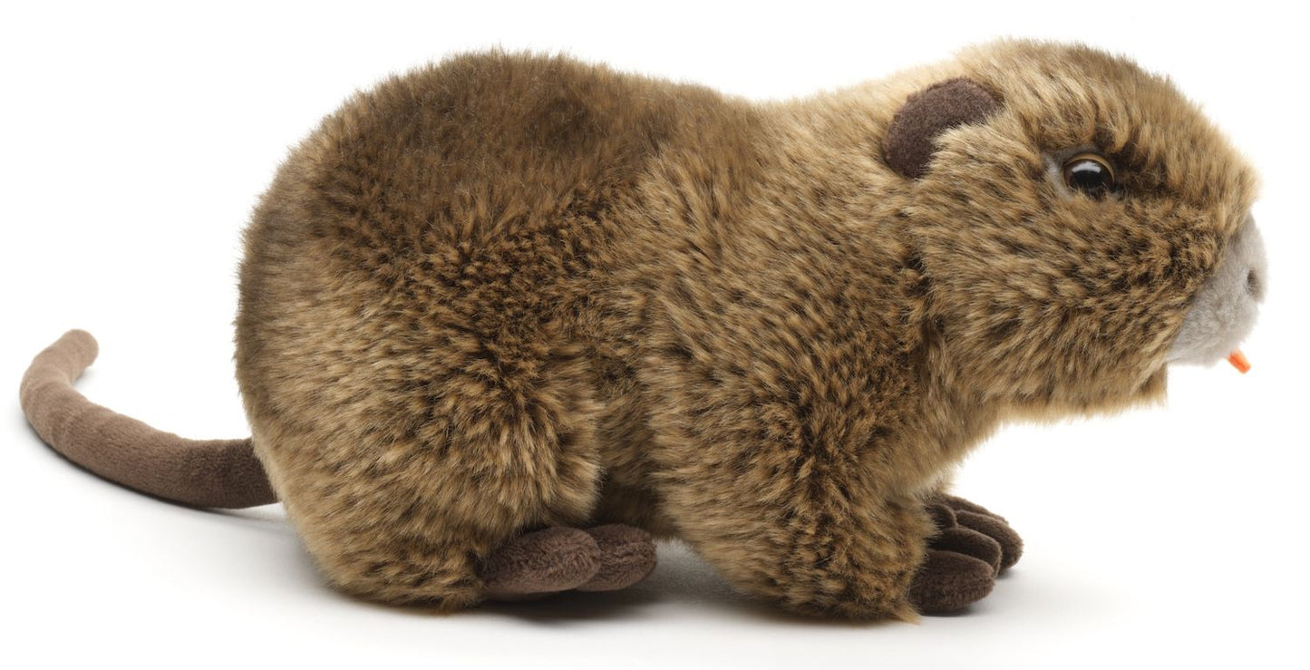 Nutria - 21 cm
