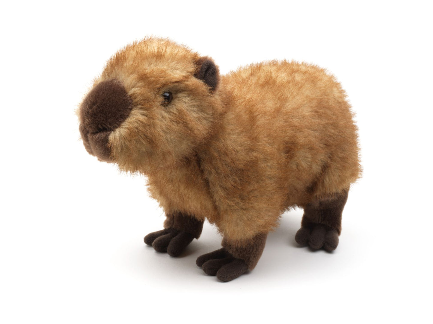 Wasserschwein - 28 cm