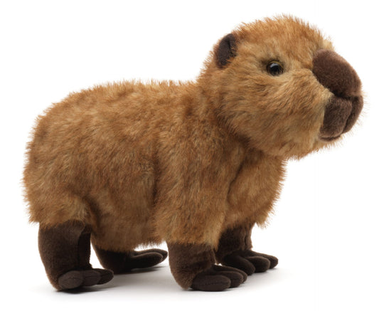 Wasserschwein - 28 cm