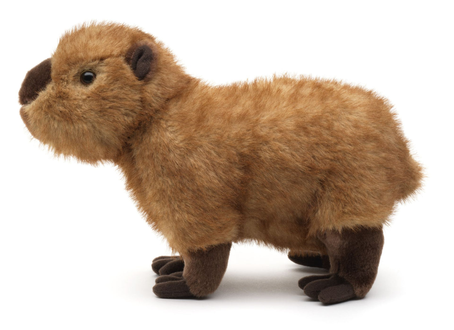 Wasserschwein - 28 cm