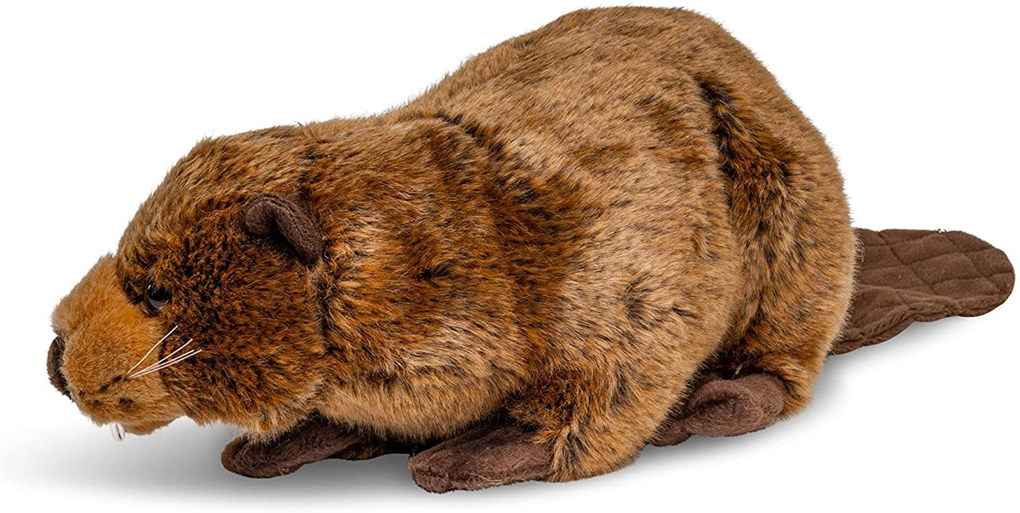 Biber - 29 cm