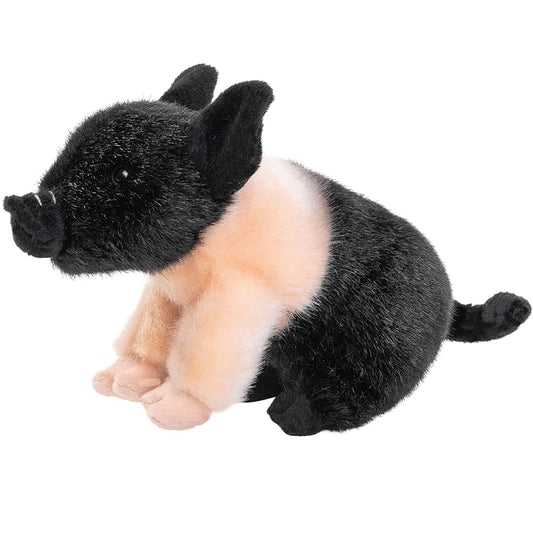 Angler Sattelschwein Ferkel - 20 cm - Schwein